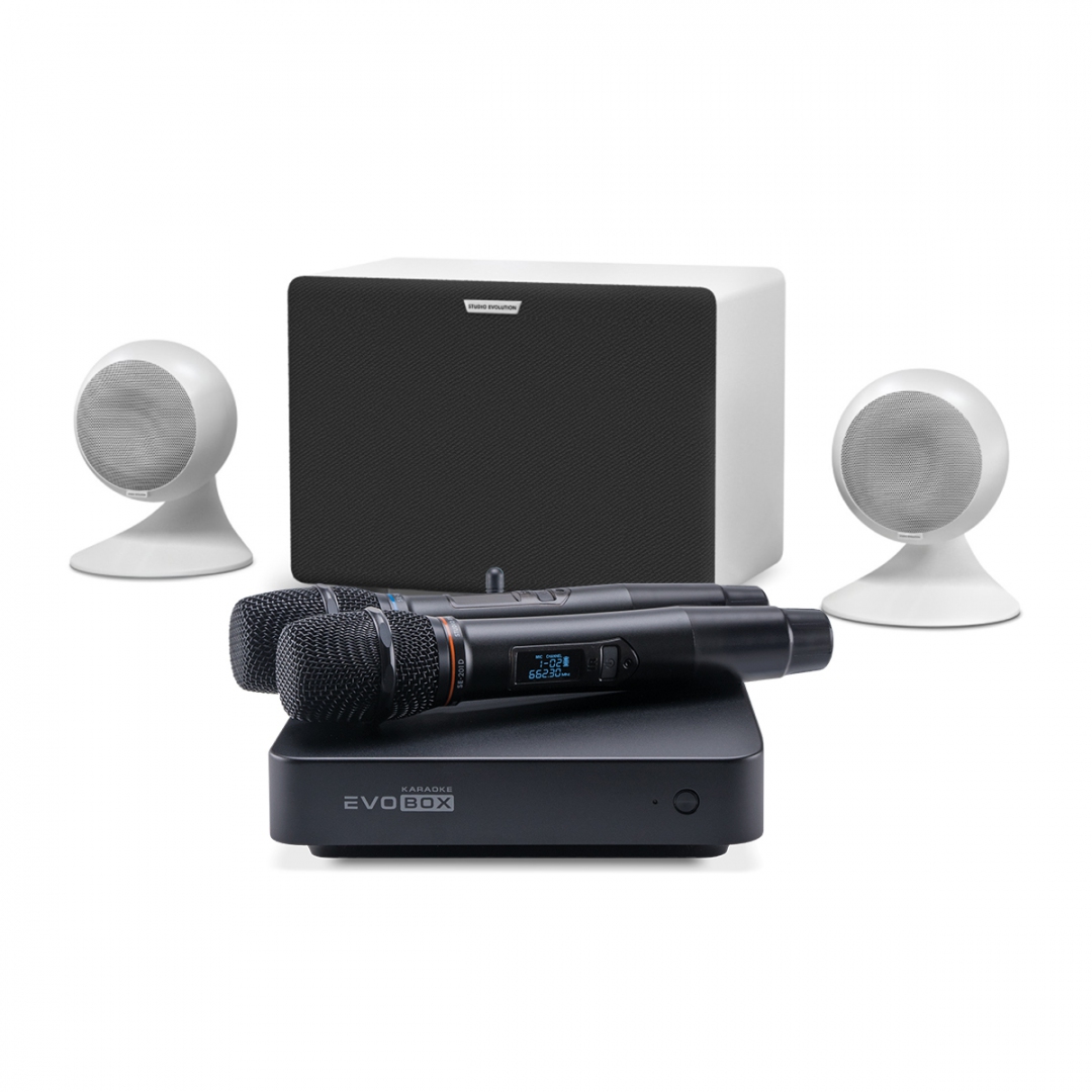 караоке-комплект EVOBOX Classic + EvoSound Sphere 2.1 в Фрязино