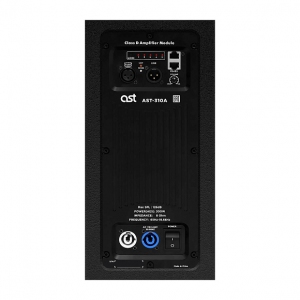 Активная акустическая система AST-310A в Фрязино